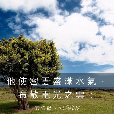 Picture 03 - 約 伯 記 37:11 CUVT - 他 使 密 雲 盛 滿 水 氣 ， 布 散 電 - Bible Verse Picture