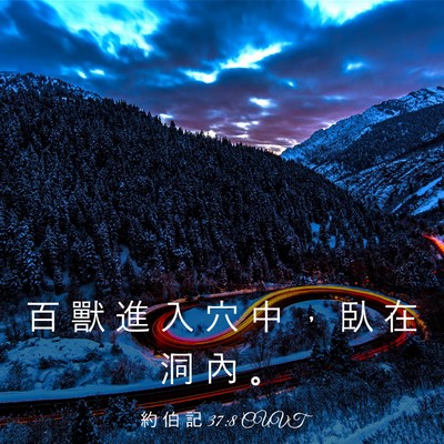 Picture 03 - 約 伯 記 37:8 CUVT - 百 獸 進 入 穴 中 ， 臥 在 洞 內 - Bible Verse Picture