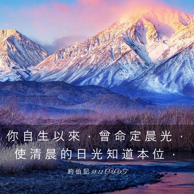 Picture 03 - 約 伯 記 38:12 CUVT - 你 自 生 以 來 ， 曾 命 定 晨 光 ， - Bible Verse Picture