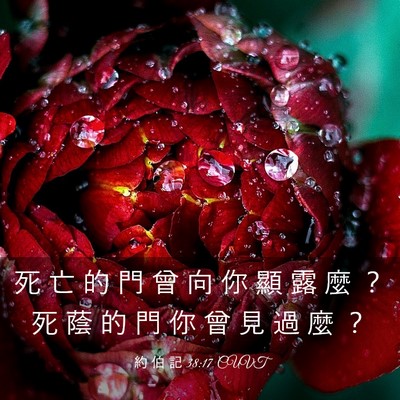 Picture 03 - 約 伯 記 38:17 CUVT - 死 亡 的 門 曾 向 你 顯 露 麼 ？ 死 - Bible Verse Picture