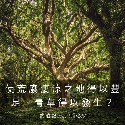 Picture 03 - 約 伯 記 38:27 CUVT - 使 荒 廢 淒 涼 之 地 得 以 豐 足 ， - Bible Verse Picture