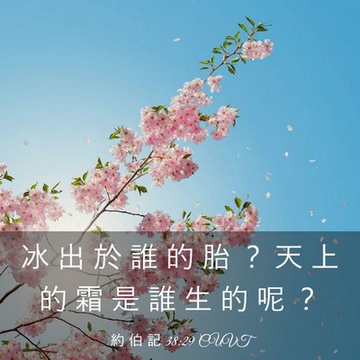 Picture 03 - 約 伯 記 38:29 CUVT - 冰 出 於 誰 的 胎 ？ 天 上 的 霜 是 - Bible Verse Picture