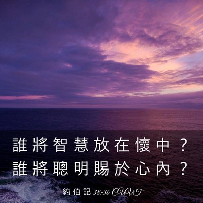 Picture 03 - 約 伯 記 38:36 CUVT - 誰 將 智 慧 放 在 懷 中 ？ 誰 將 聰 - Bible Verse Picture