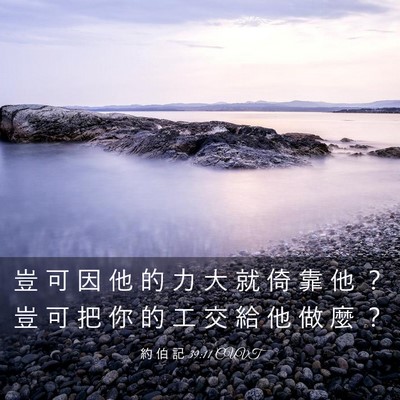 Picture 03 - 約 伯 記 39:11 CUVT - 豈 可 因 他 的 力 大 就 倚 靠 他 ？ - Bible Verse Picture