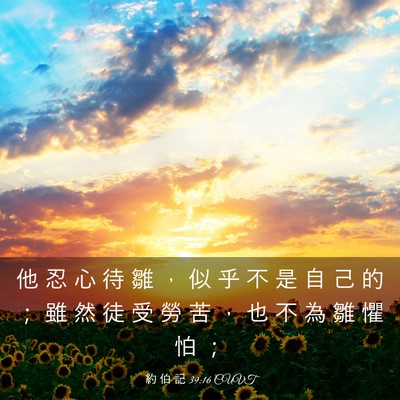 Picture 03 - 約 伯 記 39:16 CUVT - 他 忍 心 待 雛 ， 似 乎 不 是 自 己 - Bible Verse Picture