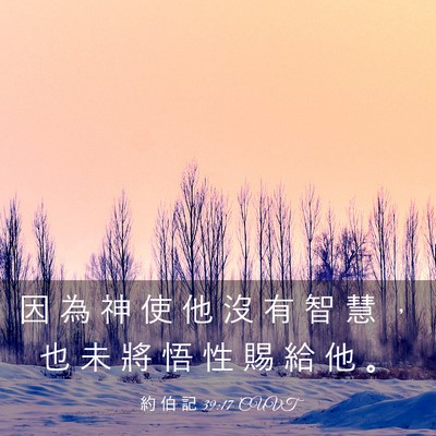 Picture 03 - 約 伯 記 39:17 CUVT - 因 為 神 使 他 沒 有 智 慧 ， 也 未 - Bible Verse Picture