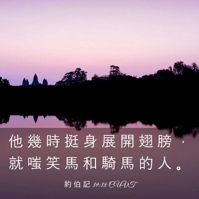 Picture 03 - 約 伯 記 39:18 CUVT - 他 幾 時 挺 身 展 開 翅 膀 ， 就 嗤 - Bible Verse Picture