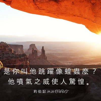 Picture 03 - 約 伯 記 39:20 CUVT - 是 你 叫 他 跳 躍 像 蝗 蟲 麼 ？ 他 - Bible Verse Picture