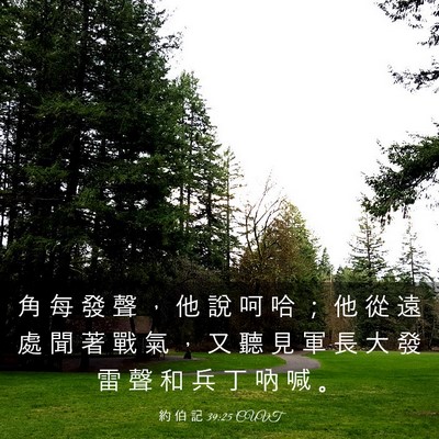 Picture 03 - 約 伯 記 39:25 CUVT - 角 每 發 聲 ， 他 說 呵 哈 ； 他 從 - Bible Verse Picture