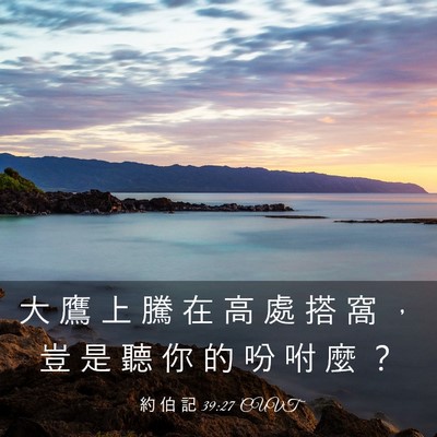 Picture 03 - 約 伯 記 39:27 CUVT - 大 鷹 上 騰 在 高 處 搭 窩 ， 豈 是 - Bible Verse Picture