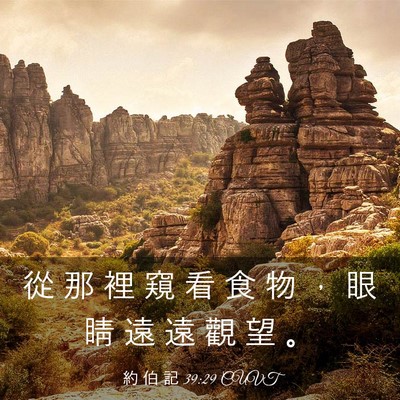 Picture 03 - 約 伯 記 39:29 CUVT - 從 那 裡 窺 看 食 物 ， 眼 睛 遠 遠 - Bible Verse Picture