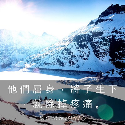 Picture 03 - 約 伯 記 39:3 CUVT - 他 們 屈 身 ， 將 子 生 下 ， 就 除 - Bible Verse Picture