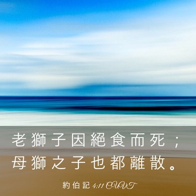Picture 03 - 約 伯 記 4:11 CUVT - 老 獅 子 因 絕 食 而 死 ； 母 獅 之 - Bible Verse Picture