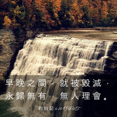 Picture 03 - 約 伯 記 4:20 CUVT - 早 晚 之 間 ， 就 被 毀 滅 ， 永 歸 - Bible Verse Picture