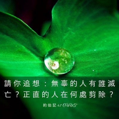 Picture 03 - 約 伯 記 4:7 CUVT - 請 你 追 想 ： 無 辜 的 人 有 誰 滅 - Bible Verse Picture