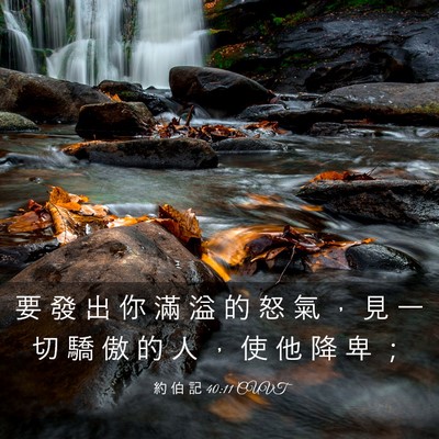 Picture 03 - 約 伯 記 40:11 CUVT - 要 發 出 你 滿 溢 的 怒 氣 ， 見 一 - Bible Verse Picture