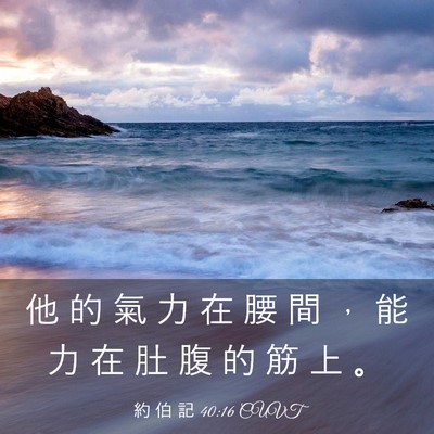 Picture 03 - 約 伯 記 40:16 CUVT - 他 的 氣 力 在 腰 間 ， 能 力 在 肚 - Bible Verse Picture