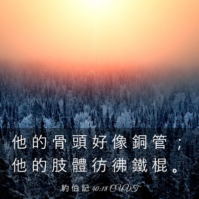 Picture 03 - 約 伯 記 40:18 CUVT - 他 的 骨 頭 好 像 銅 管 ； 他 的 肢 - Bible Verse Picture