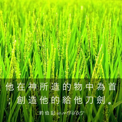Picture 03 - 約 伯 記 40:19 CUVT - 他 在 神 所 造 的 物 中 為 首 ； 創 - Bible Verse Picture
