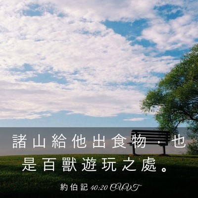 Picture 03 - 約 伯 記 40:20 CUVT - 諸 山 給 他 出 食 物 ， 也 是 百 獸 - Bible Verse Picture