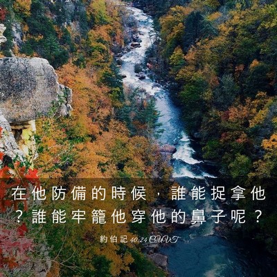 Picture 03 - 約 伯 記 40:24 CUVT - 在 他 防 備 的 時 候 ， 誰 能 捉 拿 - Bible Verse Picture