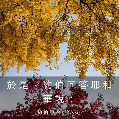 Picture 03 - 約 伯 記 40:3 CUVT - 於 是 ， 約 伯 回 答 耶 和 華 說 - Bible Verse Picture