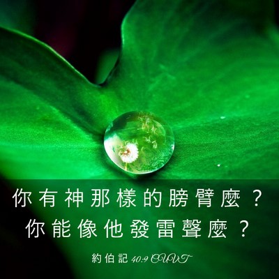 Picture 03 - 約 伯 記 40:9 CUVT - 你 有 神 那 樣 的 膀 臂 麼 ？ 你 能 - Bible Verse Picture
