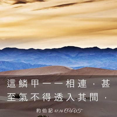 Picture 03 - 約 伯 記 41:16 CUVT - 這 鱗 甲 一 一 相 連 ， 甚 至 氣 不 - Bible Verse Picture