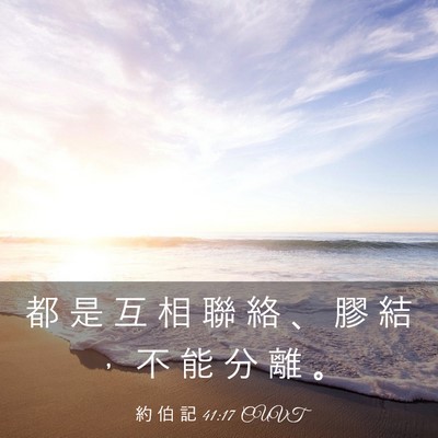 Picture 03 - 約 伯 記 41:17 CUVT - 都 是 互 相 聯 絡 、 膠 結 ， 不 能 - Bible Verse Picture