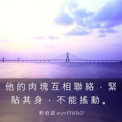 Picture 03 - 約 伯 記 41:23 CUVT - 他 的 肉 塊 互 相 聯 絡 ， 緊 貼 其 - Bible Verse Picture