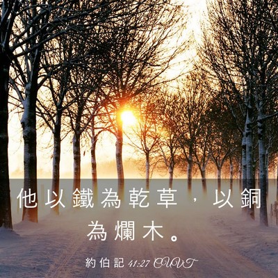 Picture 03 - 約 伯 記 41:27 CUVT - 他 以 鐵 為 乾 草 ， 以 銅 為 爛 木 - Bible Verse Picture