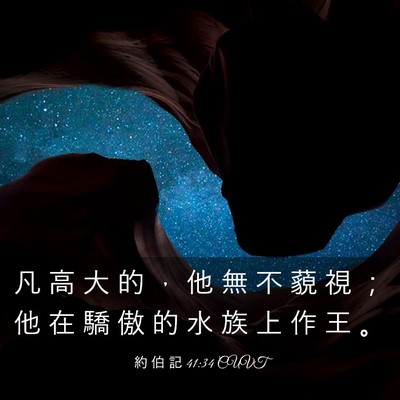 Picture 03 - 約 伯 記 41:34 CUVT - 凡 高 大 的 ， 他 無 不 藐 視 ； 他 - Bible Verse Picture