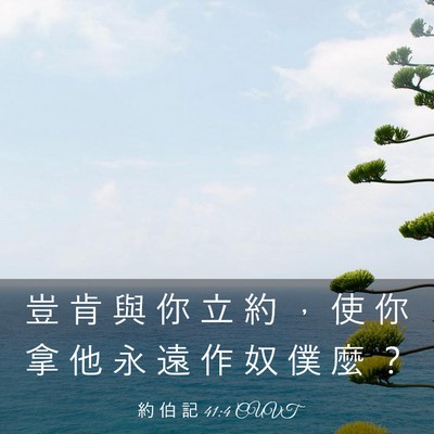 Picture 03 - 約 伯 記 41:4 CUVT - 豈 肯 與 你 立 約 ， 使 你 拿 他 永 - Bible Verse Picture