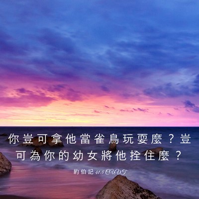 Picture 03 - 約 伯 記 41:5 CUVT - 你 豈 可 拿 他 當 雀 鳥 玩 耍 麼 ？ - Bible Verse Picture