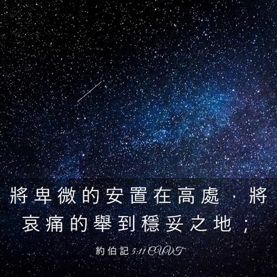 Picture 03 - 約 伯 記 5:11 CUVT - 將 卑 微 的 安 置 在 高 處 ， 將 哀 - Bible Verse Picture