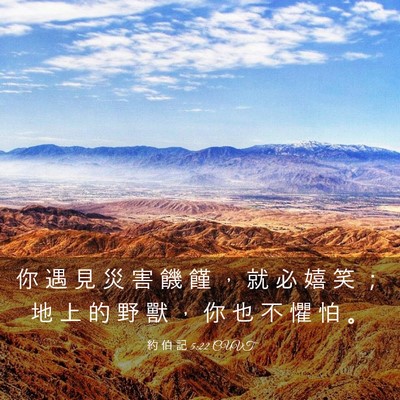 Picture 03 - 約 伯 記 5:22 CUVT - 你 遇 見 災 害 饑 饉 ， 就 必 嬉 笑 - Bible Verse Picture