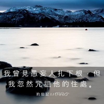Picture 03 - 約 伯 記 5:3 CUVT - 我 曾 見 愚 妄 人 扎 下 根 ， 但 我 - Bible Verse Picture