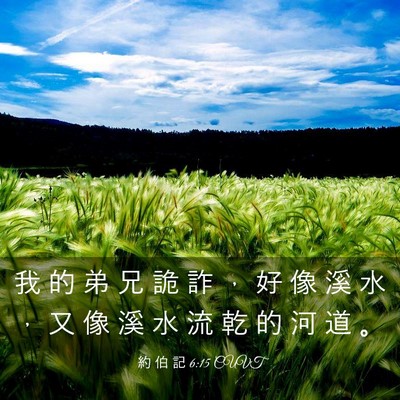 Picture 03 - 約 伯 記 6:15 CUVT - 我 的 弟 兄 詭 詐 ， 好 像 溪 水 ， - Bible Verse Picture