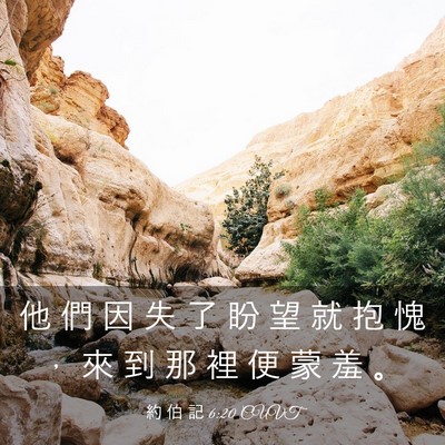 Picture 03 - 約 伯 記 6:20 CUVT - 他 們 因 失 了 盼 望 就 抱 愧 ， 來 - Bible Verse Picture