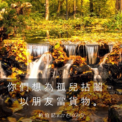 Picture 03 - 約 伯 記 6:27 CUVT - 你 們 想 為 孤 兒 拈 鬮 ， 以 朋 友 - Bible Verse Picture
