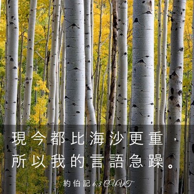 Picture 03 - 約 伯 記 6:3 CUVT - 現 今 都 比 海 沙 更 重 ， 所 以 我 - Bible Verse Picture