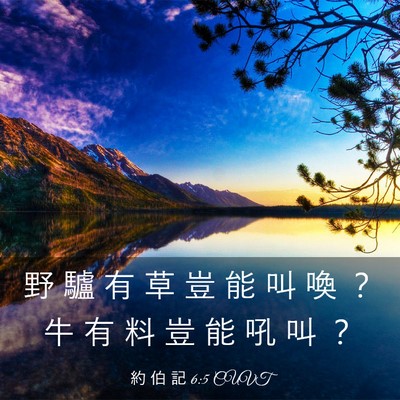 Picture 03 - 約 伯 記 6:5 CUVT - 野 驢 有 草 豈 能 叫 喚 ？ 牛 有 料 - Bible Verse Picture