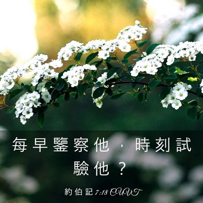 Picture 03 - 約 伯 記 7:18 CUVT - 每 早 鑒 察 他 ， 時 刻 試 驗 他 - Bible Verse Picture