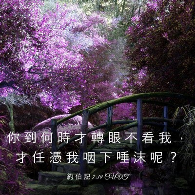 Picture 03 - 約 伯 記 7:19 CUVT - 你 到 何 時 才 轉 眼 不 看 我 ， 才 - Bible Verse Picture