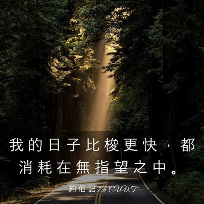 Picture 03 - 約 伯 記 7:6 CUVT - 我 的 日 子 比 梭 更 快 ， 都 消 耗 - Bible Verse Picture