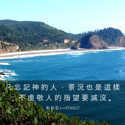 Picture 03 - 約 伯 記 8:13 CUVT - 凡 忘 記 神 的 人 ， 景 況 也 是 這 - Bible Verse Picture