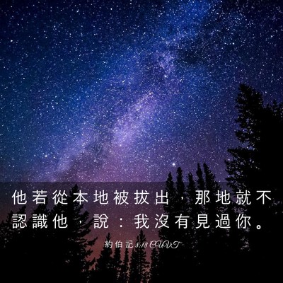 Picture 03 - 約 伯 記 8:18 CUVT - 他 若 從 本 地 被 拔 出 ， 那 地 就 - Bible Verse Picture