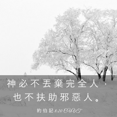 Picture 03 - 約 伯 記 8:20 CUVT - 神 必 不 丟 棄 完 全 人 ， 也 不 扶 - Bible Verse Picture