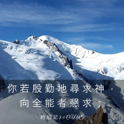 Picture 03 - 約 伯 記 8:5 CUVT - 你 若 殷 勤 地 尋 求 神 ， 向 全 能 - Bible Verse Picture