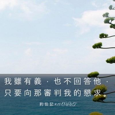 Picture 03 - 約 伯 記 9:15 CUVT - 我 雖 有 義 ， 也 不 回 答 他 ， 只 - Bible Verse Picture